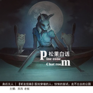 17.身后无人 | 医院里穿墙的“人”；惊悚的面试经历；走不出的公园