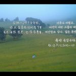 嵐LAN_9IwN