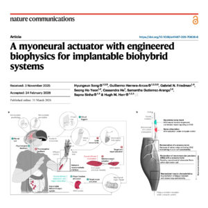 843-Fatigue-Resistant Myoneural Actuators