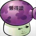 乐某圆