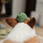 煨煨庵vvan