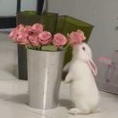 红提核桃司康不加核桃