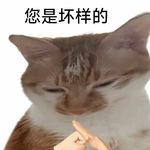 飞毛腿双枪老奶奶