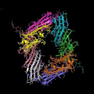 SCP-008 丧尸病毒