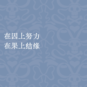 29🧩低内耗养成思路:找到自洽不疯癫的努力姿势