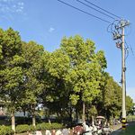XIN期天