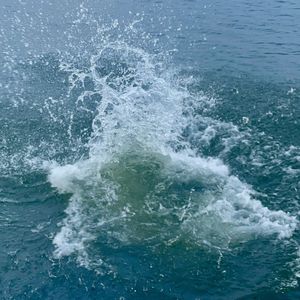 在江河湖海之中，拥有完整的自我。
