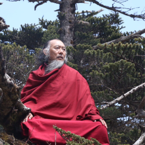 vol.10探秘藏传佛教：与大德仁波切对话的启示