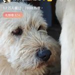 逗号_DKZX