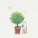 目对目