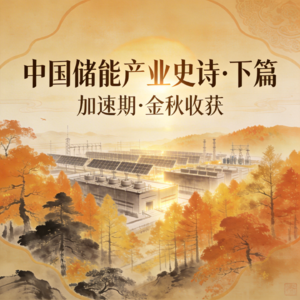 从"微风渐起"到"树树皆秋色"——中国储能加速+成熟期
