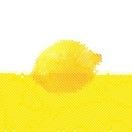 一个奇童