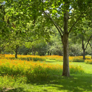 Vol 19 - 她不是为了女性在斗争，她只是不想被造黄谣——小议《道格拉斯被取消了》