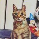 一粒卤杏仁