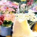 加速度_jwGW