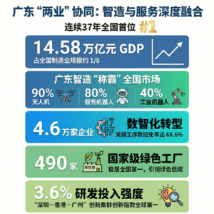 广东省两业融合白皮书政策分析(共13集)