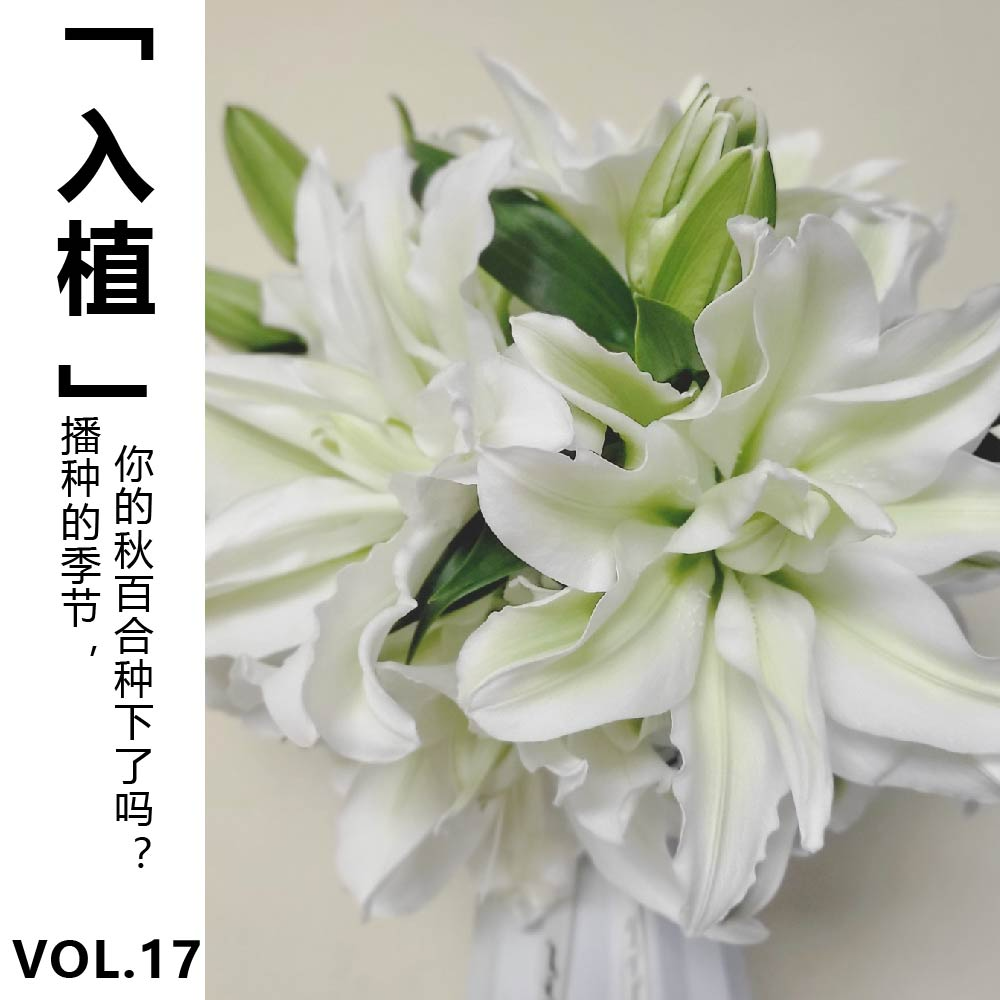 cover of episode Vol.17【入植】播种的季节，你的秋百合种下了吗？