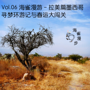 Vol.06 海雀漫游 - 拉美篇墨西哥（下）：寻梦环游记与春运大闯关