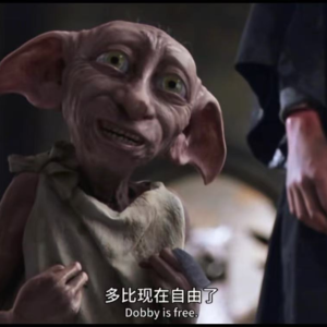 Ep09我不干了！——裸辞之后和陌生人聊聊