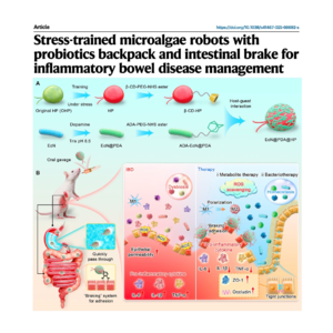 434-Stress-Trained Microalgae Robots