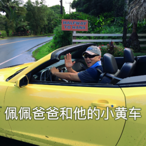 12. 和爸妈旅游，耗尽我半生力气