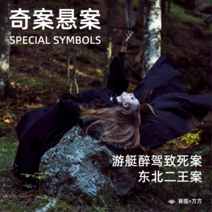 奇案悬案第二十四期：《东北二王案》《游艇醉驾致死案》