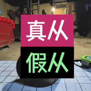 八字【从格】之【真从假从】