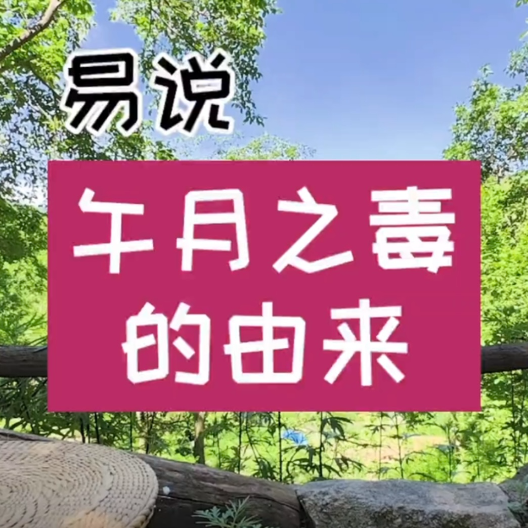 cover of episode 八字命理看婚姻感情之【毒五月与感情健康】2024更新版