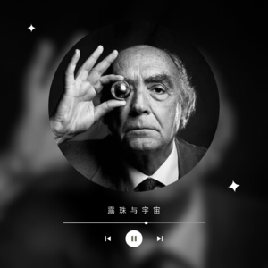 能看，就要看见，能看见，就要仔细观察 | 露珠与宇宙012