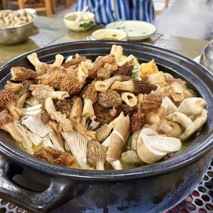 Vol.119 且慢！吃菌子前先读书，心里有数不迷糊~
