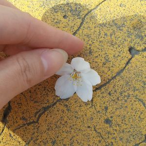 吕源