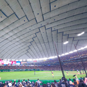 Vol.114 五月是拯救小猫咪，一日往返日本和自我出逃时刻