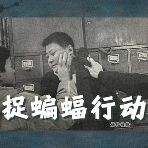 102.捉“蝙蝠”行动|老警察讲故事