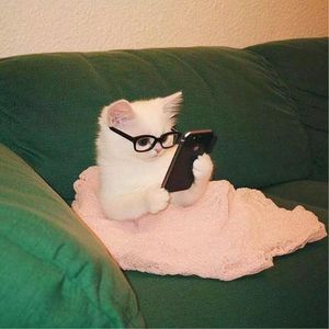 podcaster-avatar