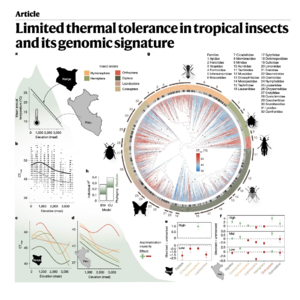 690-热带昆虫的耐热极限及其基因组特征