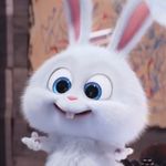 鲸在路上吃烧烤