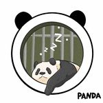 学习的Panda