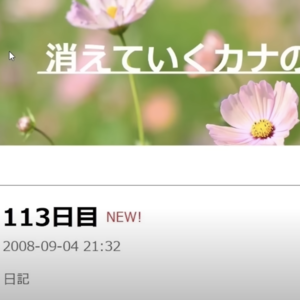 EP 04. 奇妙的部落格：正在消失的加奈的日记