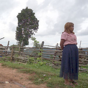 E716.缅北高地来的女人