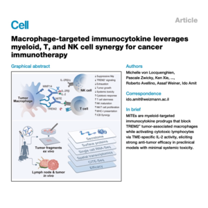 286-Myeloid-Targeted Immunocytokines