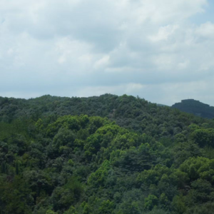 012-道德感强的人总在怀疑自己是否够好，而真正伤人者从不反思？