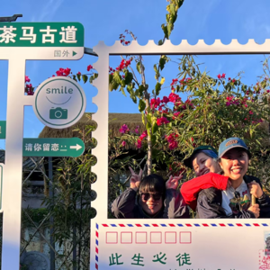 1. 云南旅居指南|普洱到底有多好吃？