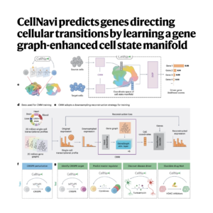282-CellNavi: Predicts Cellular Transition Driver Genes