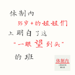 Vol.178 体制内35岁+的姐姐们，上明白了这“一眼望到头”的班