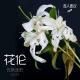 花伦-音人而议-优斯迪吧Vol.23