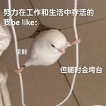 Joy_24Xi