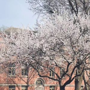 008 ｜ 「东北游记」沈阳不是东方鲁尔，铁西才是！