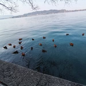 第十四章：多器官功能障碍综合征