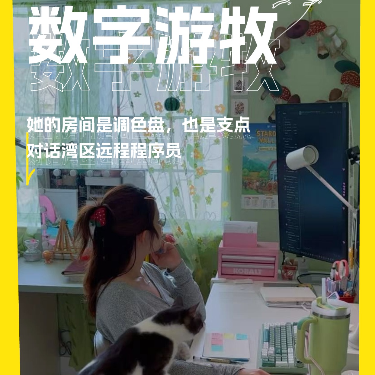她的房间是调色盘，也是支点｜对话湾区远程程序员 episode artwork