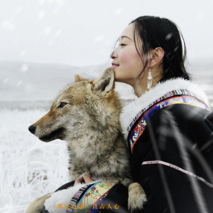 02.重返狼群：人类将你养大，但你注定属于荒原